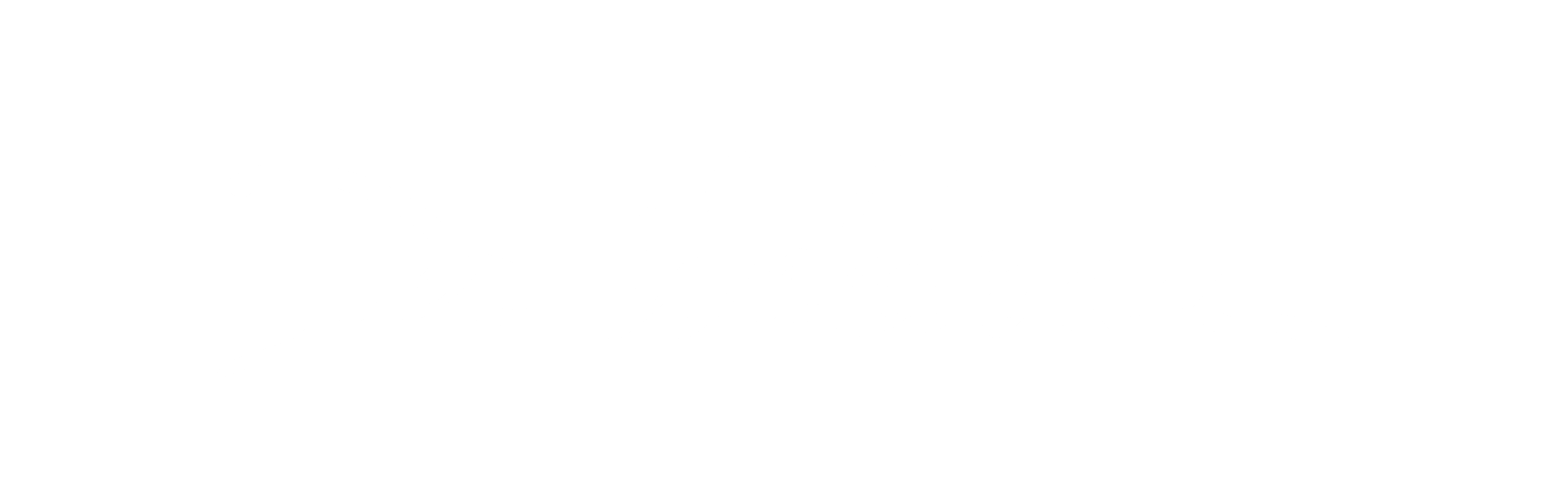 לוגו ד''ר ולדמן